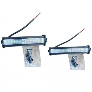 Exploradora bicolor strober