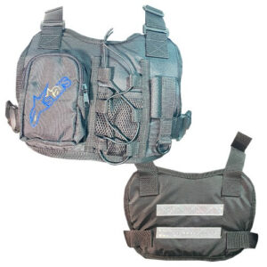 Pechera Alpinestar Letras Azul Blanco