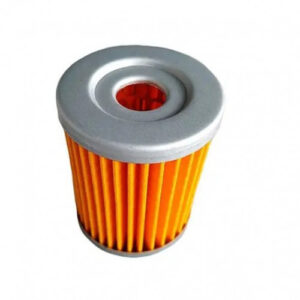 Filtro Aceite Dr200 (770097)