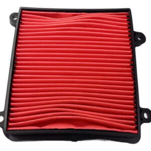 Filtro Aire Xr150 Mrx2160 (770102)