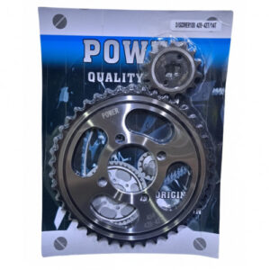 Plato Piñón Discover 100 T.E 42T-14T-428H